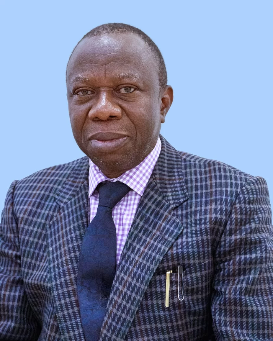 Mr. Henry Omonzojie Airiohuodion